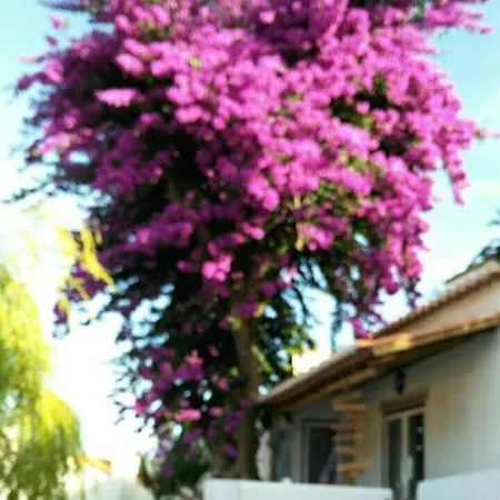 Cosy Little House Between Mountain And Sea Tatil Evi *