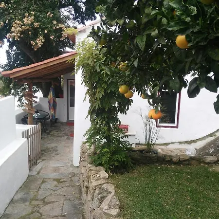 Cosy Little House Between Mountain And Sea Tatil Evi *